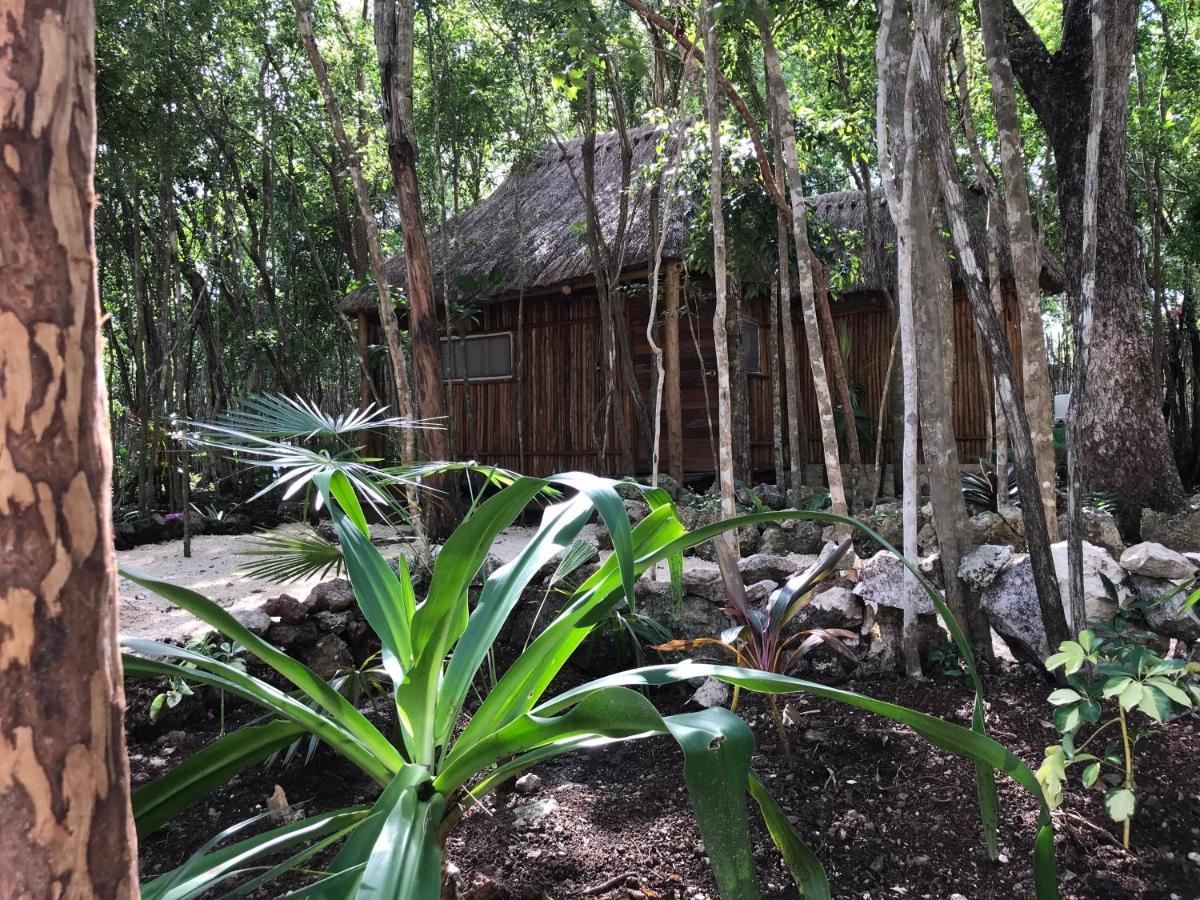 Bayou Tulum Exteriör bild